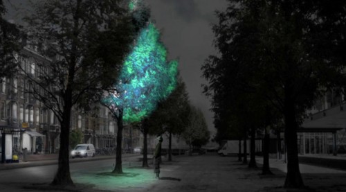 Luminiscenční strom místo lampy. (Studio Roosegarde)